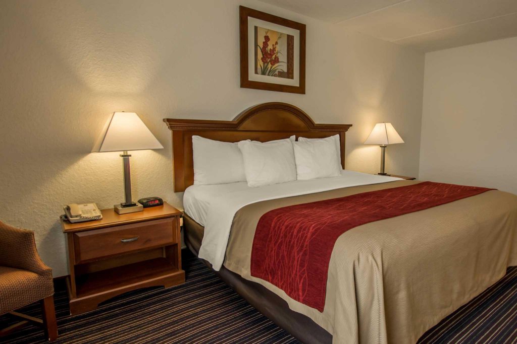 Фото Comfort Inn Kissimmee-Lake Buena Vista South