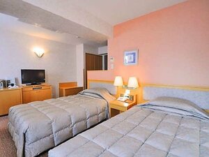 Гостиница Hotel New Chikou