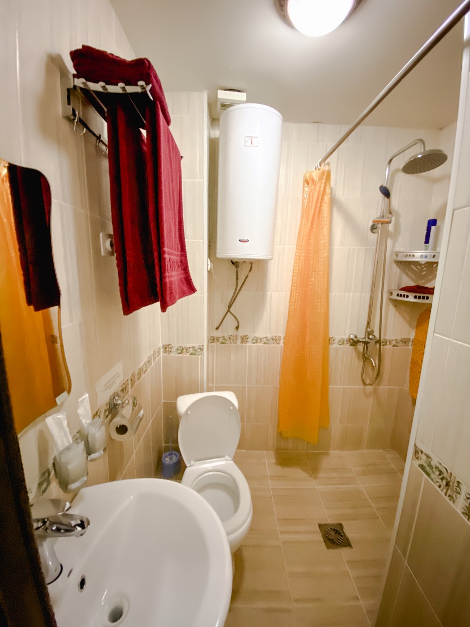 Фото Альбатрос