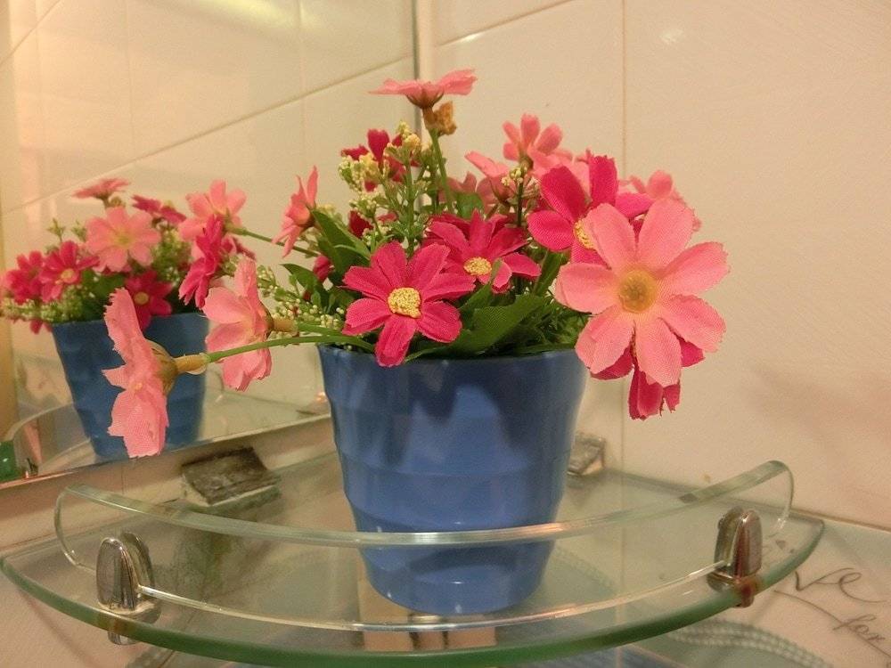 Фото Geo Home Holiday Hotel