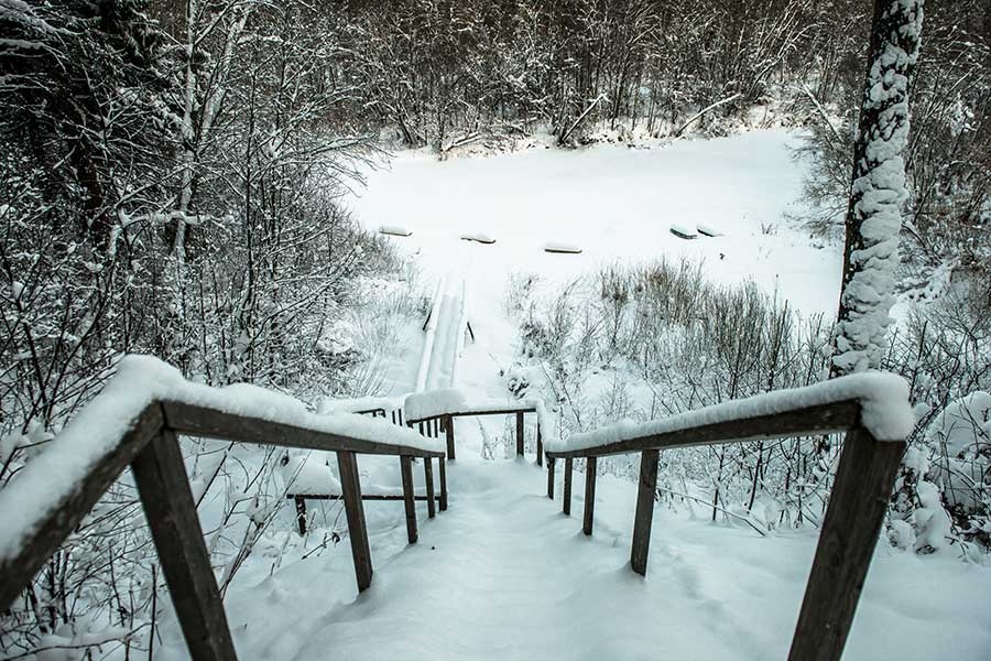 Фото Сосновый Бор