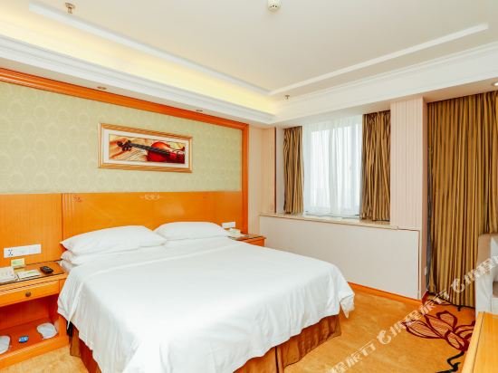 Фото Vienna Hotel