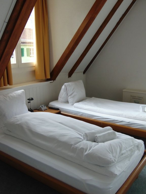 Фото Hotel Zunfthaus zur Rebleuten