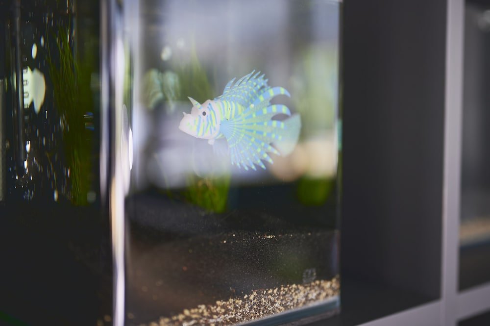 Фото Hotel Artist