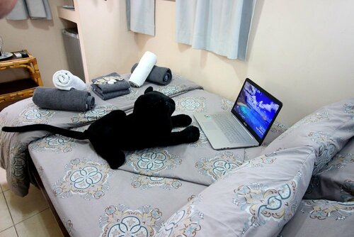 Внешний вид отеля Sunset Inn в Эйлате, фото 5