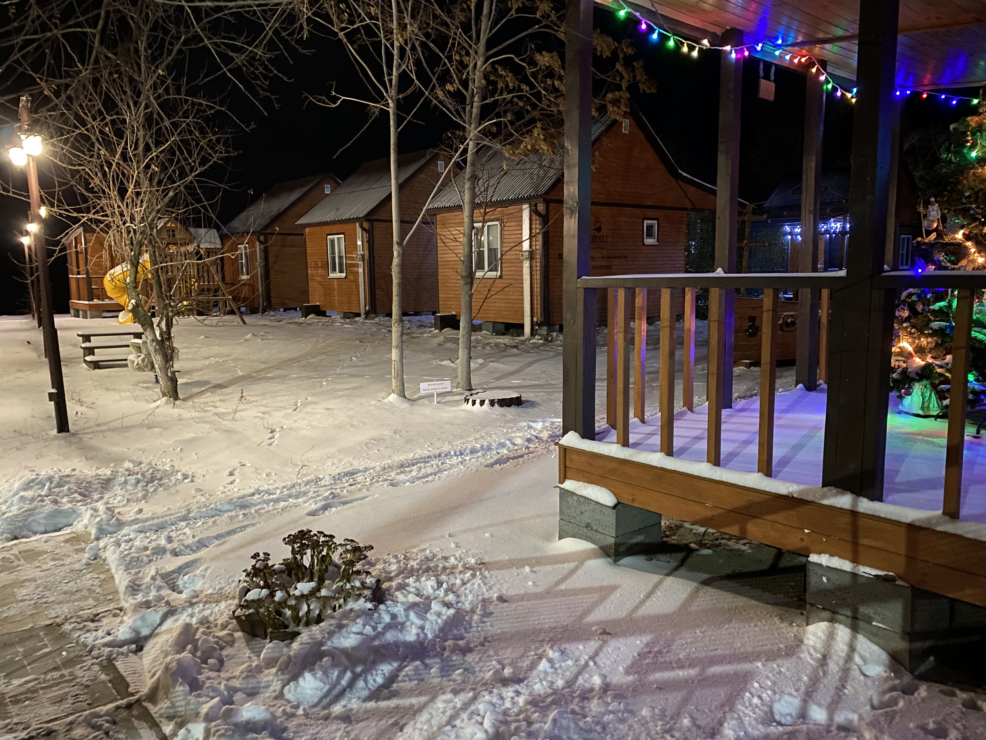 Фото Ковчег