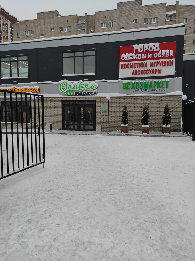 Household goods and chemicals shop Hozmarket, Izhevsk, photo