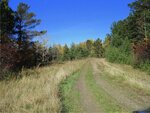 ДНТ Шарье (Красноярский край, Емельяновский район, село Шуваево), земельные участки в Красноярском крае