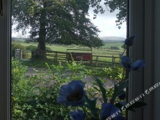 Фото Dykefield Farm B&b