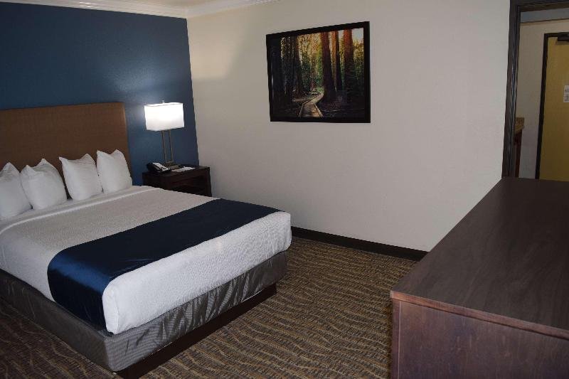 Фото Best Western Town & Country Lodge