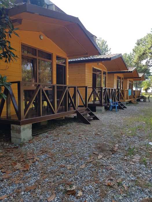 Фото Золотые пески