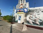 Ulov (9 Yanvarya Street, 278В), fishing gear and supplies