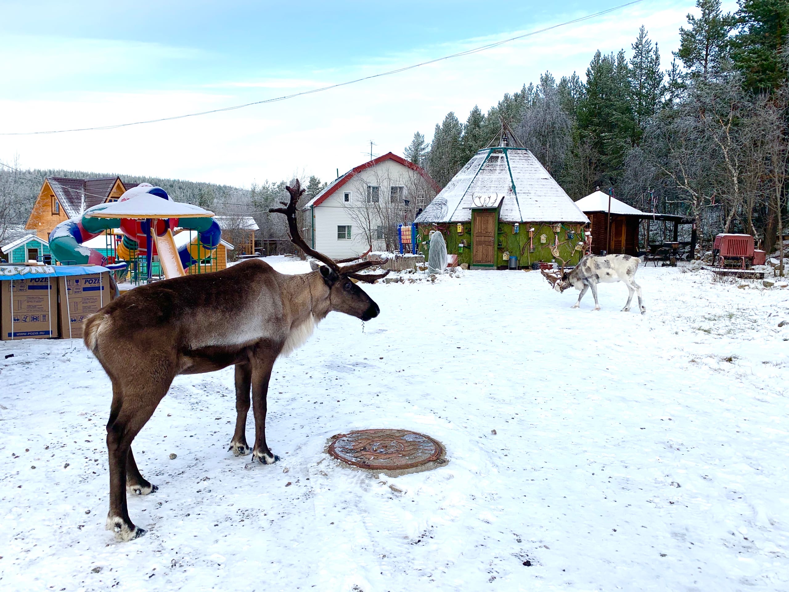 Фото Каравелла