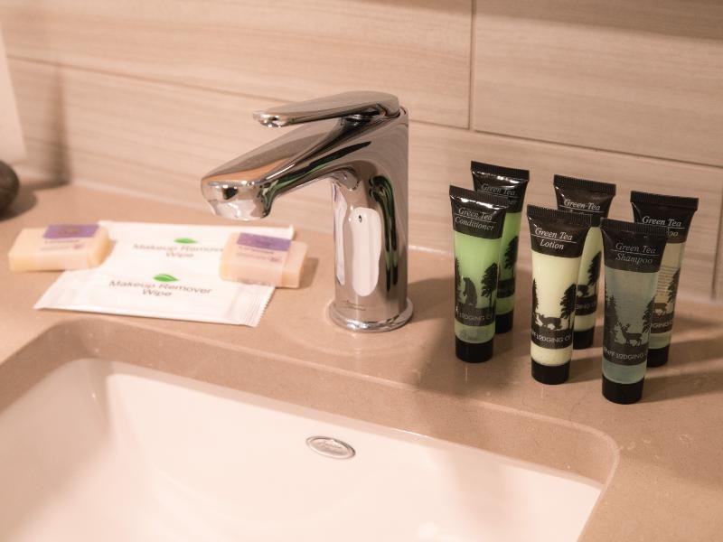 Фото Tunnel Mountain Resort