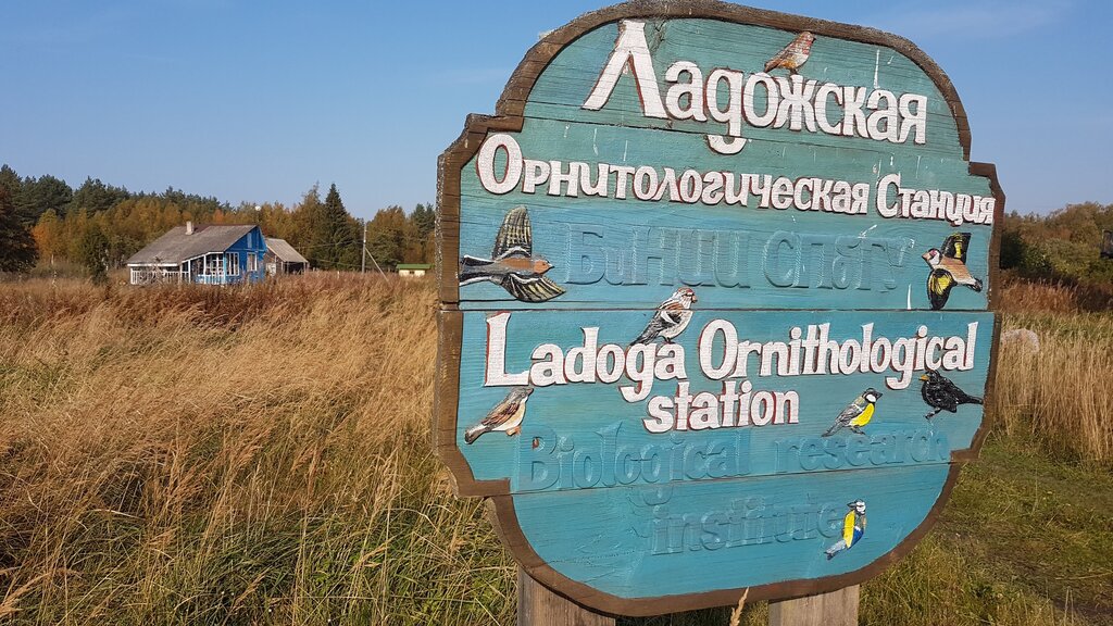 Лодейнопольский район карта шамокша