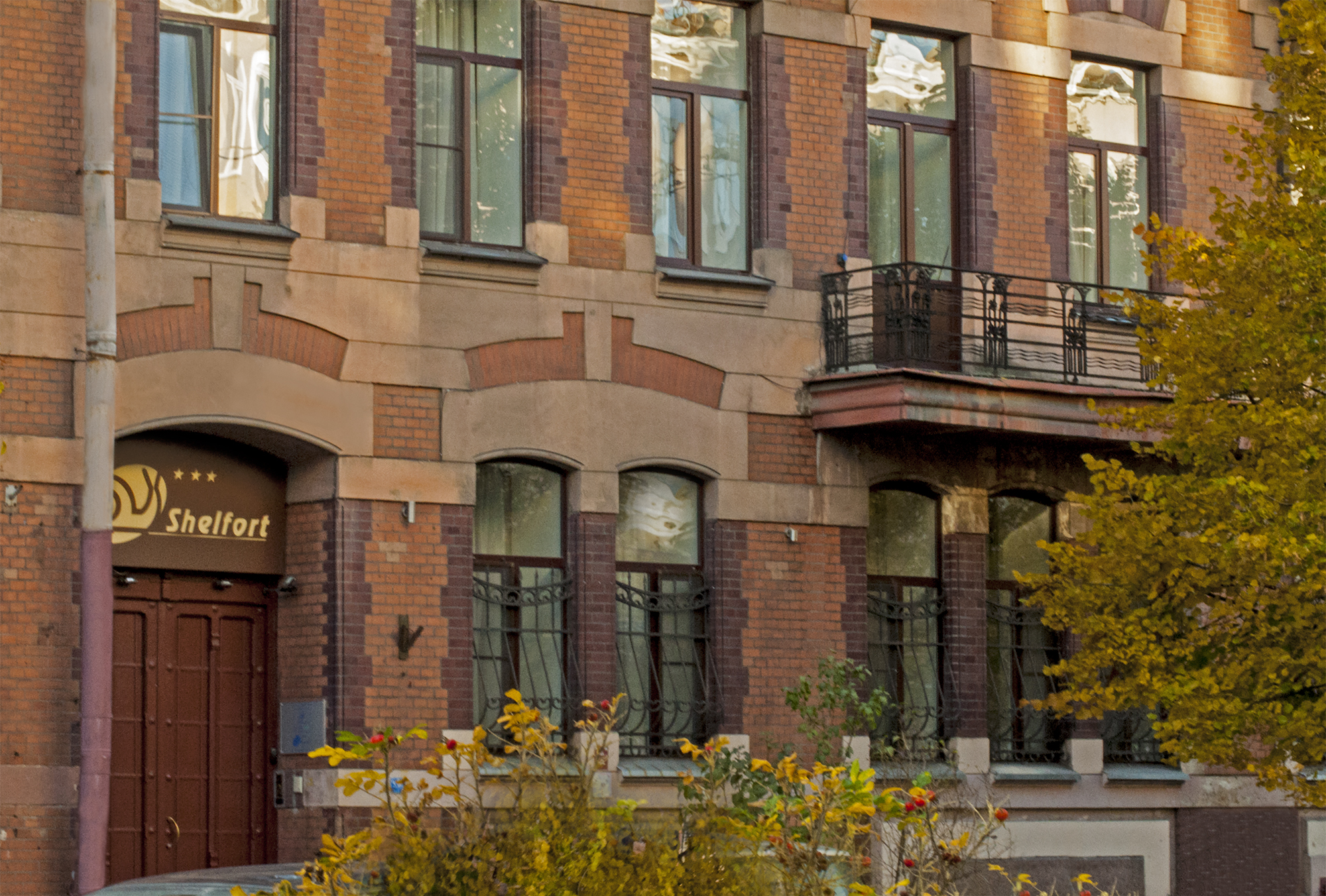 Фото Шелфорт