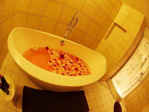 Фото Hotel Amandi