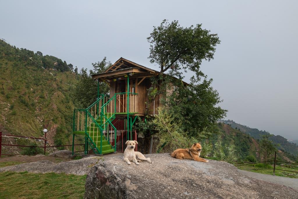 Фото Triund Heights