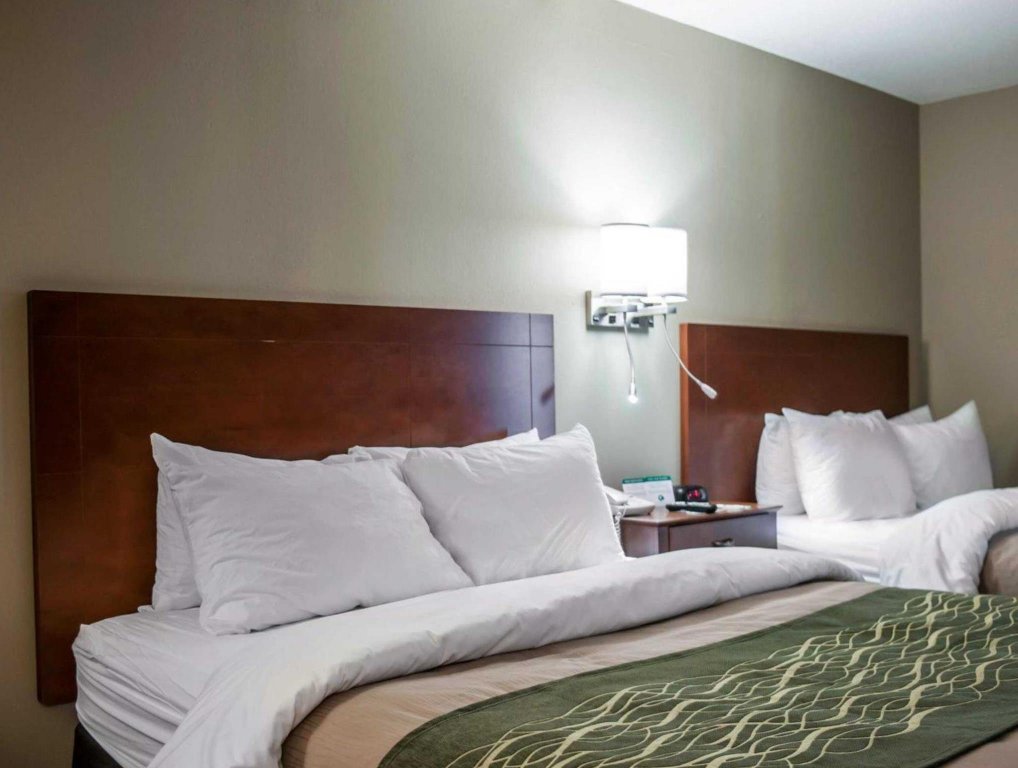 Фото Quality Inn & Suites near St. Louis and I-255