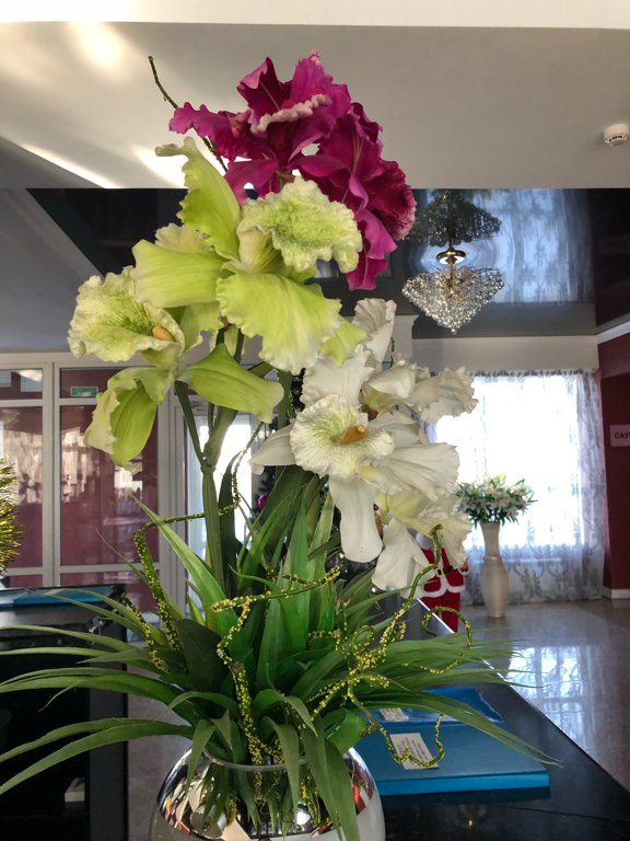 Фото Виктория