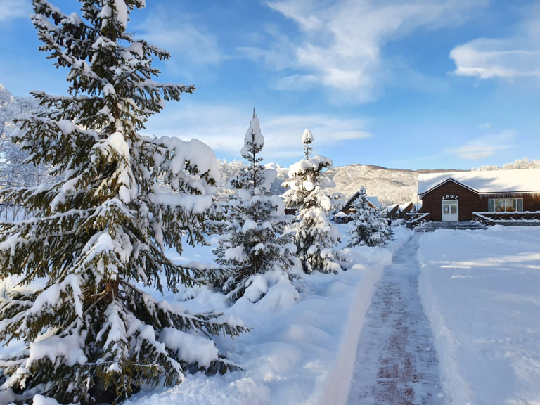 Фото Лесная поляна