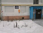 Эдельвейс (Белореченская ул., 3Б, Екатеринбург), клуб для детей и подростков в Екатеринбурге