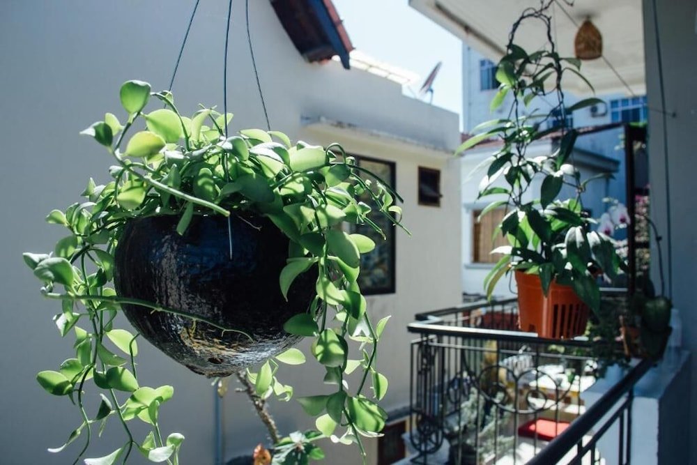 Фото Deja Vu Homestay