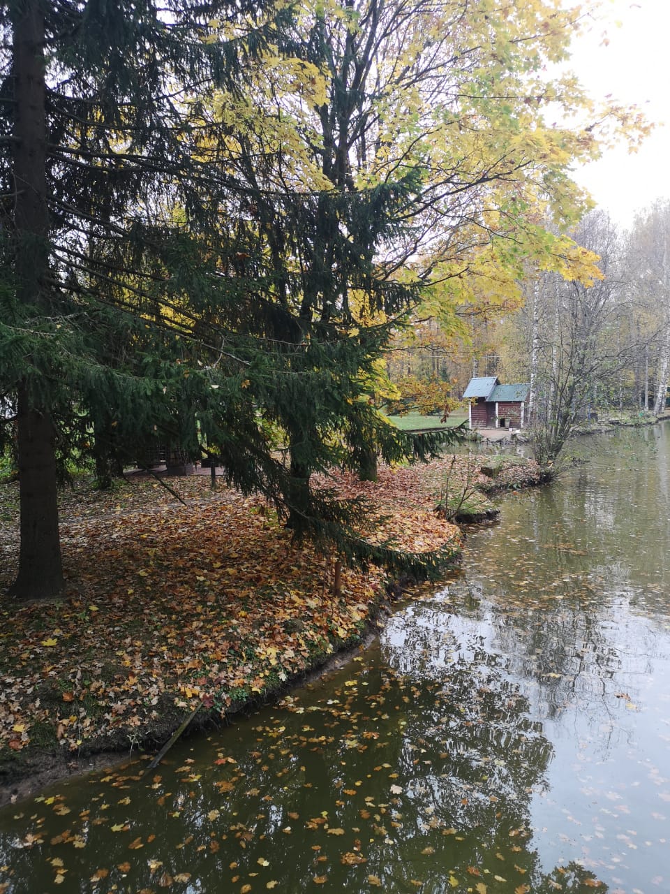 Фото Парк-отель Звенигород