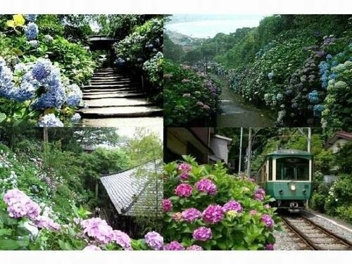 Гостиница Hotel Kamakura Mori в Камакуре