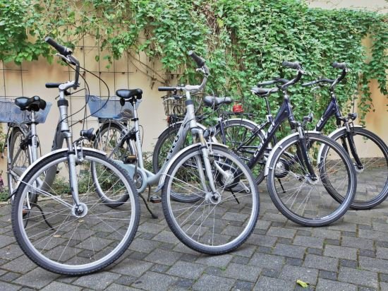 Фото Hotel Aigner