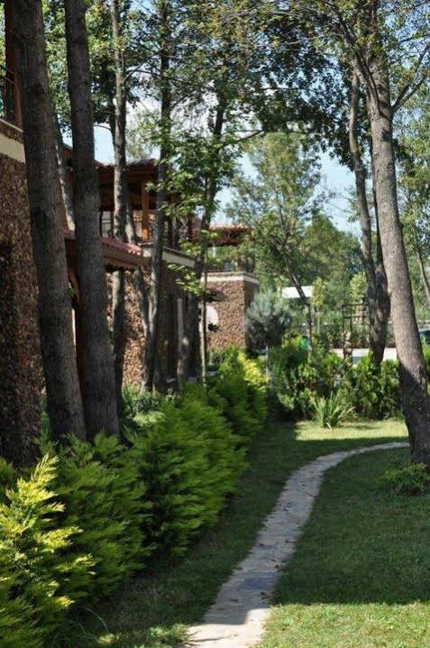 Hotel Well Done Hotel, Sapanca, photo