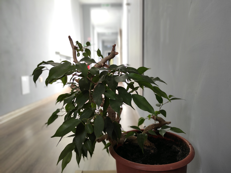 Фото Сити Хаус