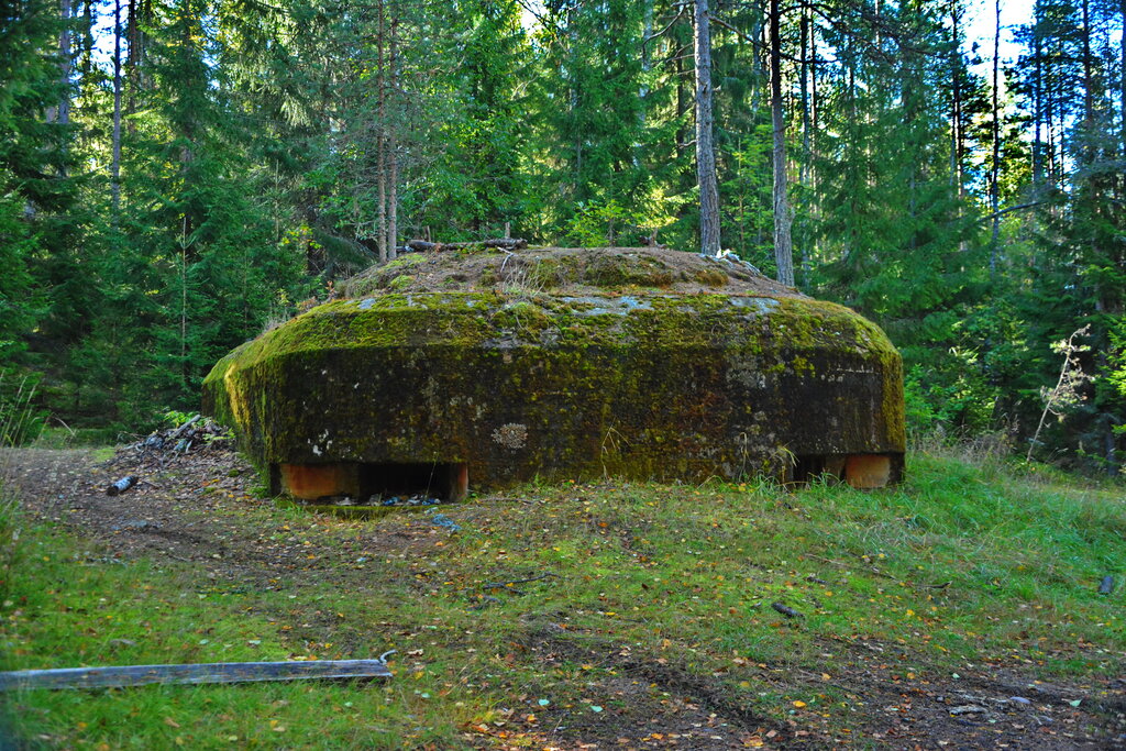 Landmark, attraction Долговременная огневая точка, Saint‑Petersburg and Leningrad Oblast, photo