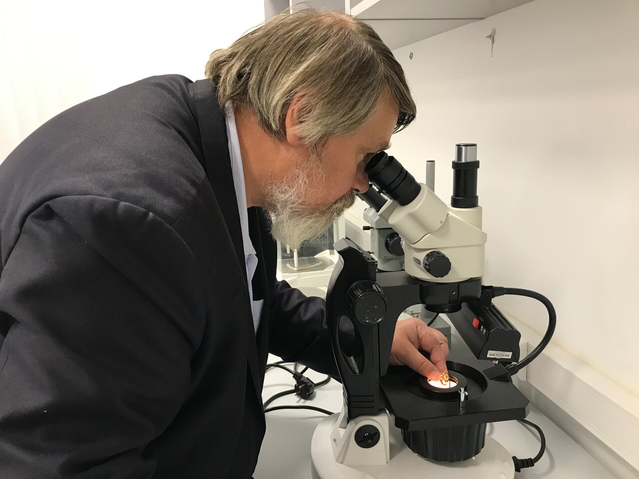 Лаборатория в москве