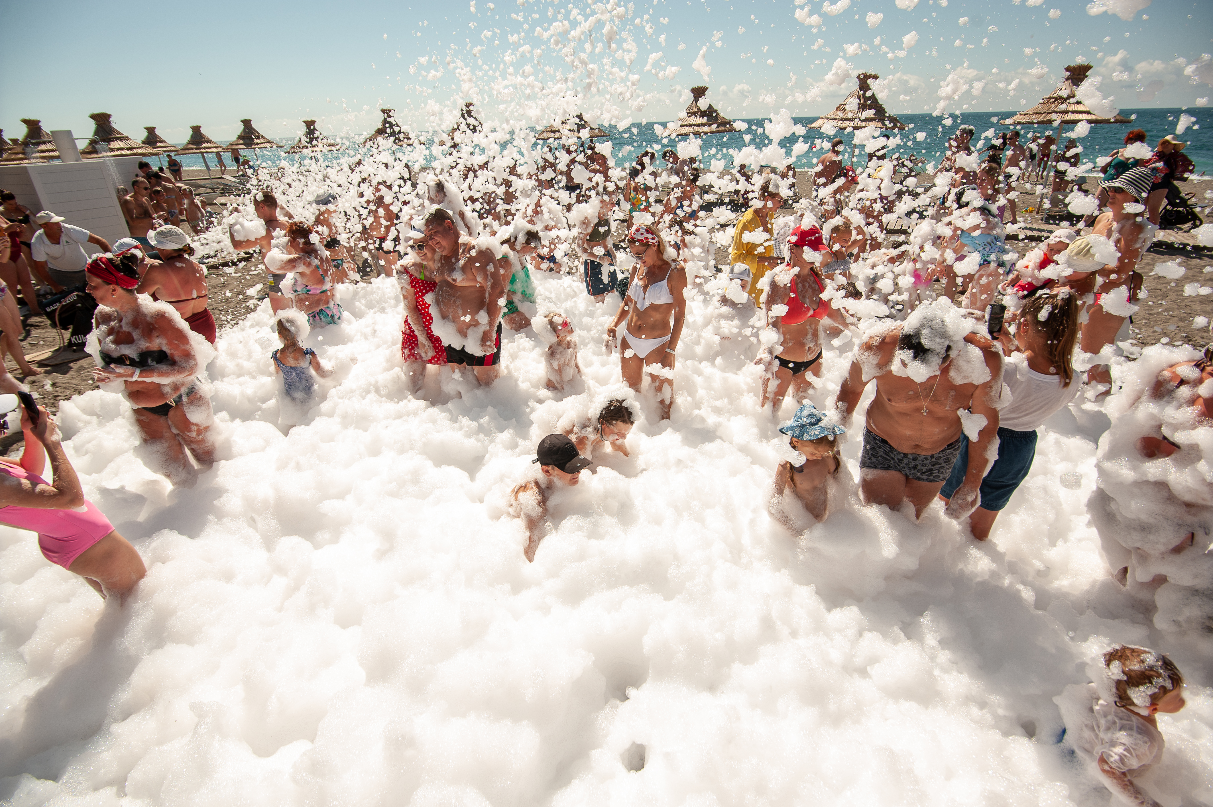 Фото Самшитовая роща