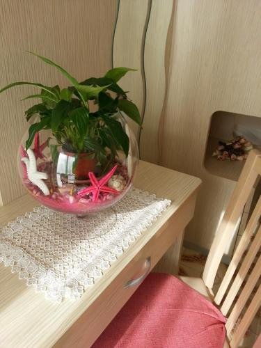 Фото Hotel Maxim