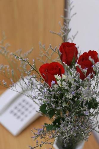 Фото Ha My Hotel