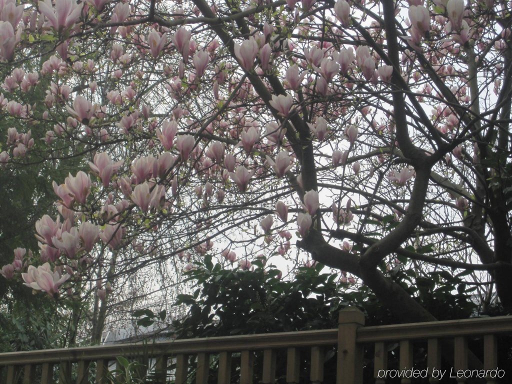 Фото Oxford Hotel Earl's Court