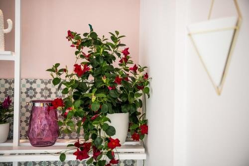 Фото Aisha Petite Suites