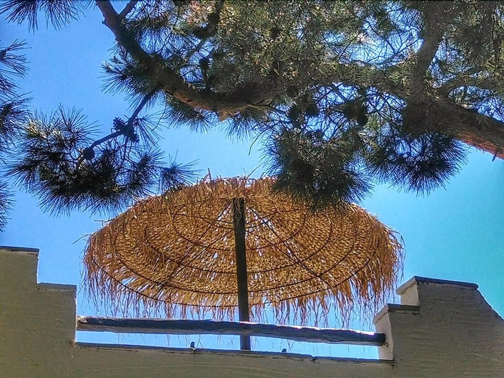 Фото Naxos Summerland resort