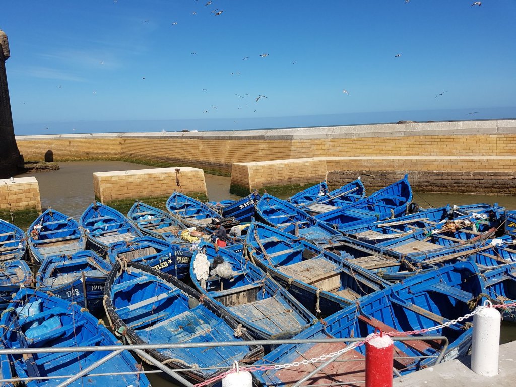 Фото Riad Sidi Magdoul