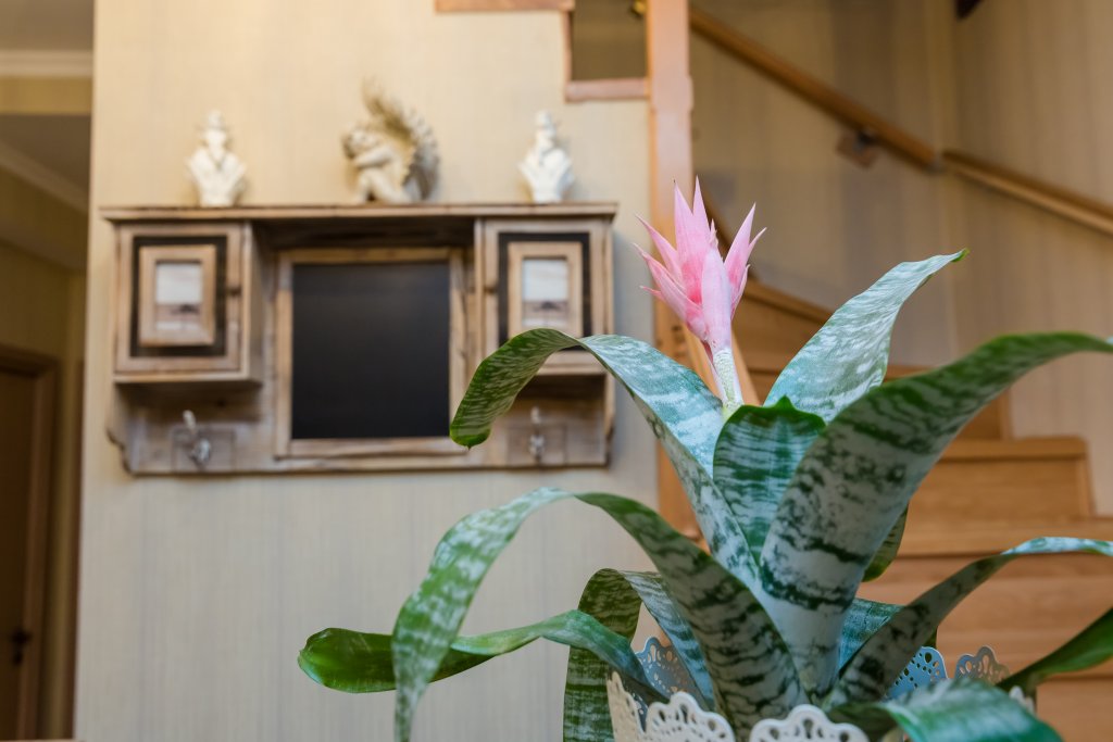 Фото Мини-Отель Betlemi Old Town