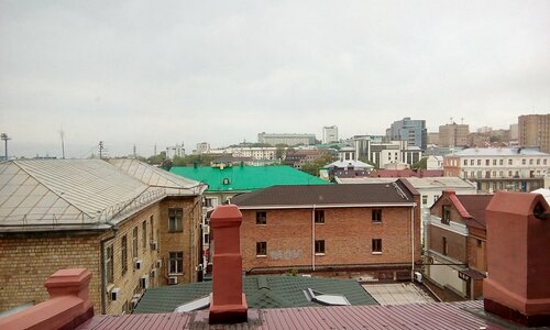 Сова фото 7