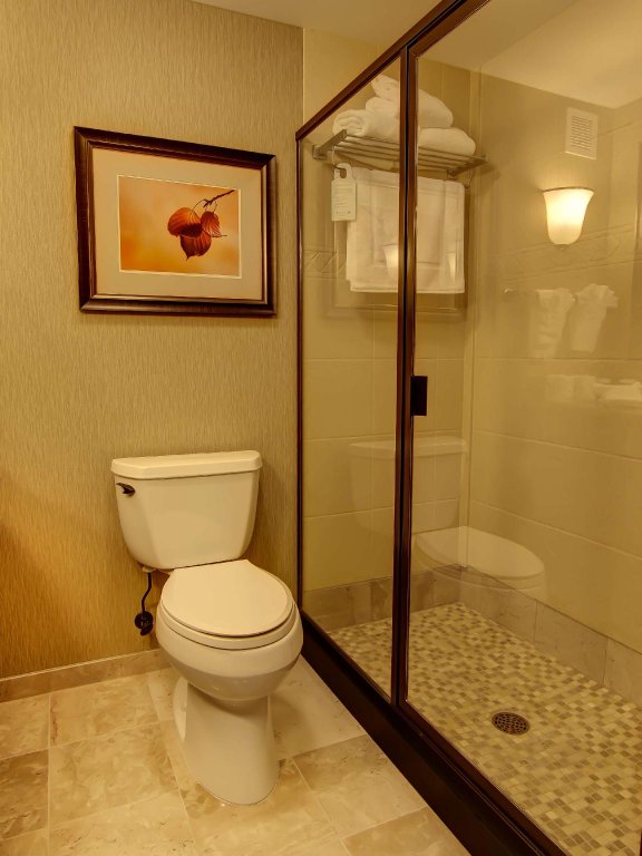 Фото Hilton Garden Inn Rapid City