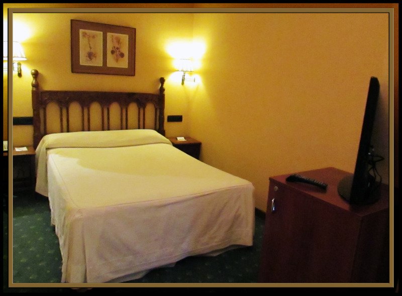 Фото Hotel Puente Romano de Salamanca