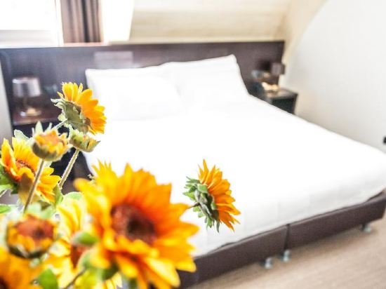 Фото Mosaico Hotel