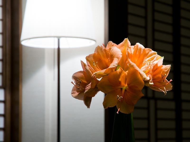 Фото Sapporo Kitahiroshima Classe Hotel