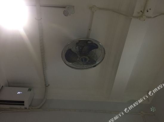 Фото Golden Snake Hostel