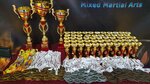 Mixed Martial Arts Association Ifl Mma (Stavropol, DNT Dolina, ulitsa Dolina-4, 170), club deportivo, sección