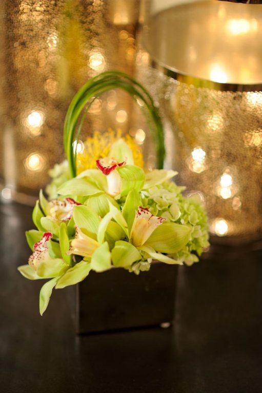 Фото Essex House by Clevelander